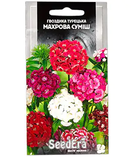 Гвоздика Турецкая махровая смесь