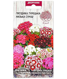 Гвоздика Турецька низька суміш 