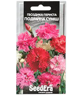 Гвоздика перистая Двойная смесь