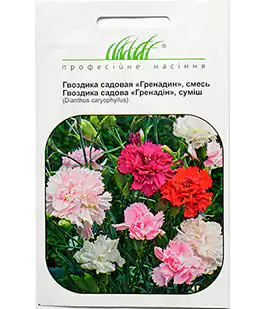 Гвоздика садовая Гренадин