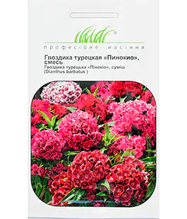 Гвоздика турецкая Пинокио
