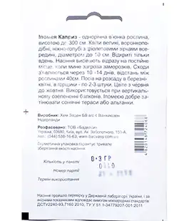 Ипомея Каприз пурпурная