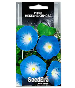 Ипомея Небесная Синева