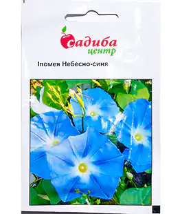 Ипомея Небесно-синя