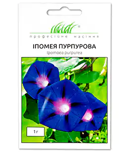 Ипомея Пурпурная