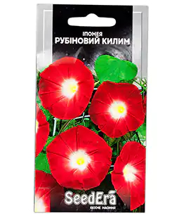 Ипомея Рубиновый ковёр