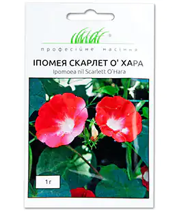 Ипомея Скарлет О`хара