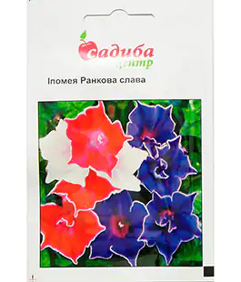 Ипомея Утренняя Слава