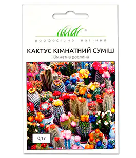 Кактус Комнатный