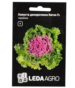 Капуста декоративная Нагоя F1 красная