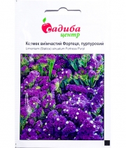 Изображение товара Семена цветов Кермек Фортеця пурпурный выемчатый
