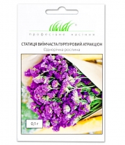Изображение товара Семена цветов Кермек Пурпурный Аттракцион