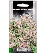 Изображение товара Семена цветов Кермек Татарский