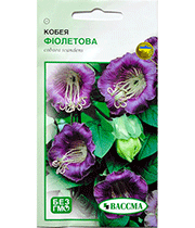 Изображение товара Семена цветов Кобея Фиолетовая