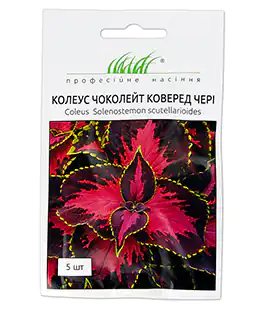 Колеус Чоколейд Коверед Черри