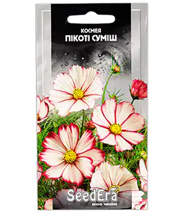 Космея Пикоти