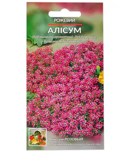 Алісум Рожевий день
