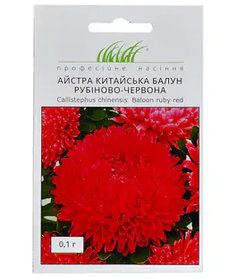 Астра Балун рубиново-красная