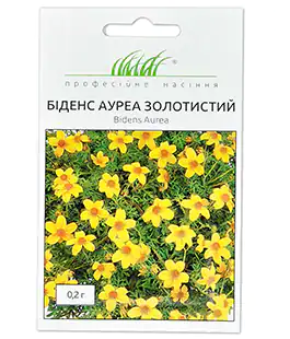 Біденс Ауреа золотистий