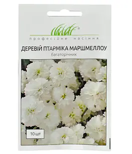 Деревій Птарміка Маршмеллоу