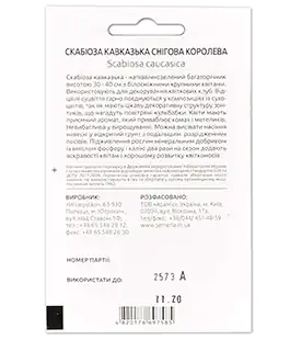 Скабіоза Снігова королева