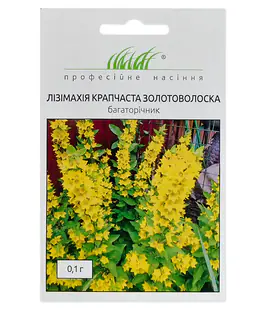 Лизимахия крапчатая Золотоволоска