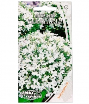 Изображение товара Семена цветов Лобелия Белая Леди