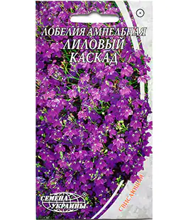 Лобелия Лиловый каскад ампельная