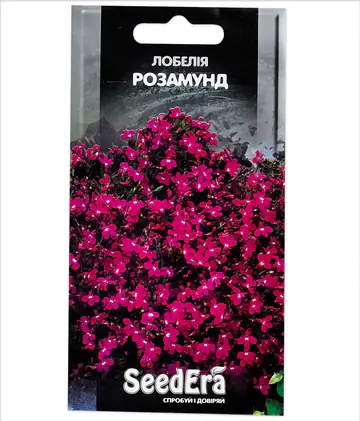 Лобелія Розамунда