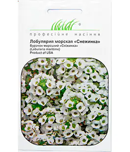 Лобулярия морская Снежинка