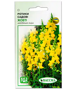 Львиный Зев Желтый