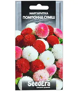 Маргаритка Помпон суміш