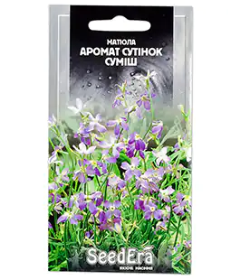 Маттиола Аромат сумерек