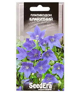 Платикодон Голубой