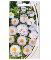 Изображение товара Семена цветов Портулак махровый Белый 