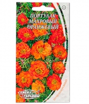 Изображение товара Семена цветов Портулак махровый Оранжевый 