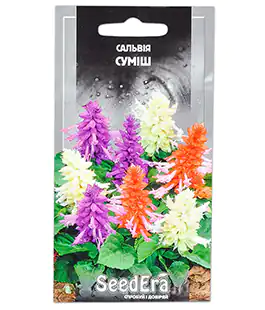 Сальвия Блестящая Смесь