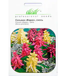 Сальвия Фарао смесь