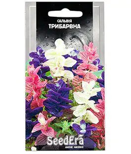 Сальвия Трехцветная