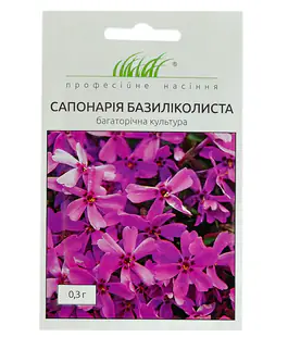 Сапонария базиликолиста