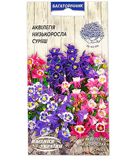 Семена цветов Аквилегия низкорослая смесь
