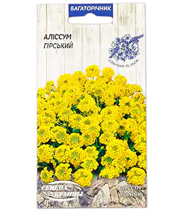 Семена цветов Алиссум Горный (Гмелина)