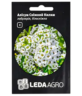 Семена цветов Алиссум Снежный ковёр