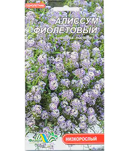 Семена цветов Алиссум ассортимент