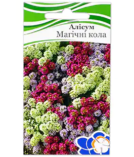 Алісум Магічні кола