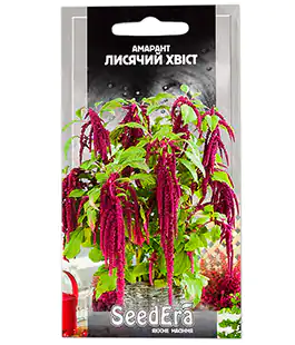 Амарант Лисячий Хвіст