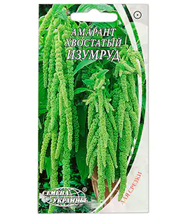 Семена цветов Амарант Изумруд