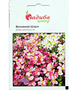 Семена цветов Арабис Весенний шарм
