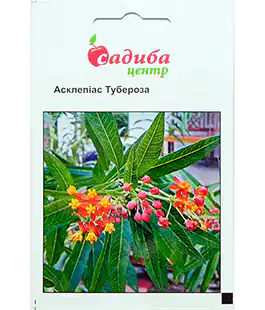 Семена цветов Асклепиас тубероза