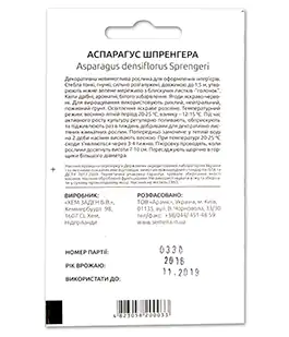 Семена цветов Аспарагус Шпренгера